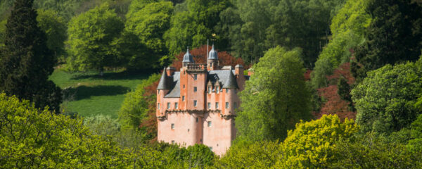 mariage dans un château